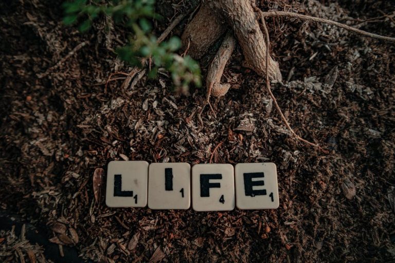 Life Shayari In Hindi