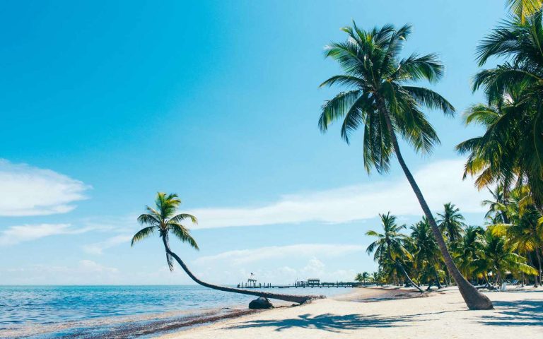 Unique Experiences for Your Next Holidays in Florida