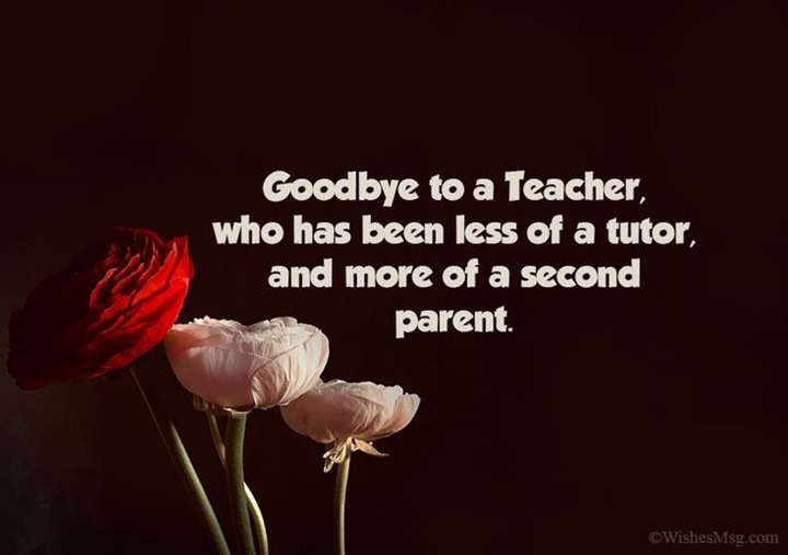 Teacher Farewell Shayari: A Heartfelt Tribute to Mentors Teacher Farewell Shayari A Heartfelt Tribute to Mentors